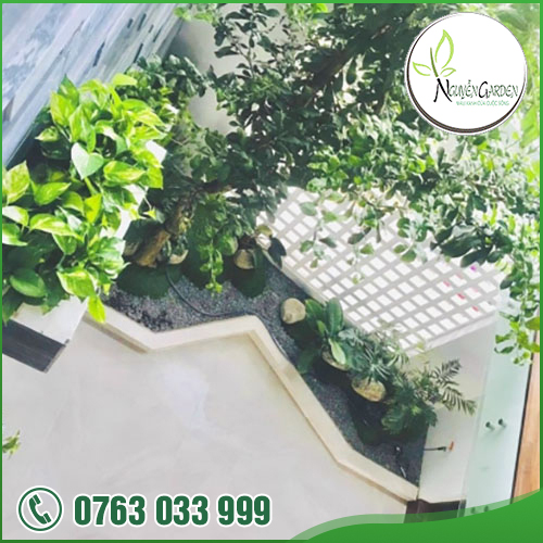 CÔNG TY TNHH TM DV NGUYỄN GARDEN